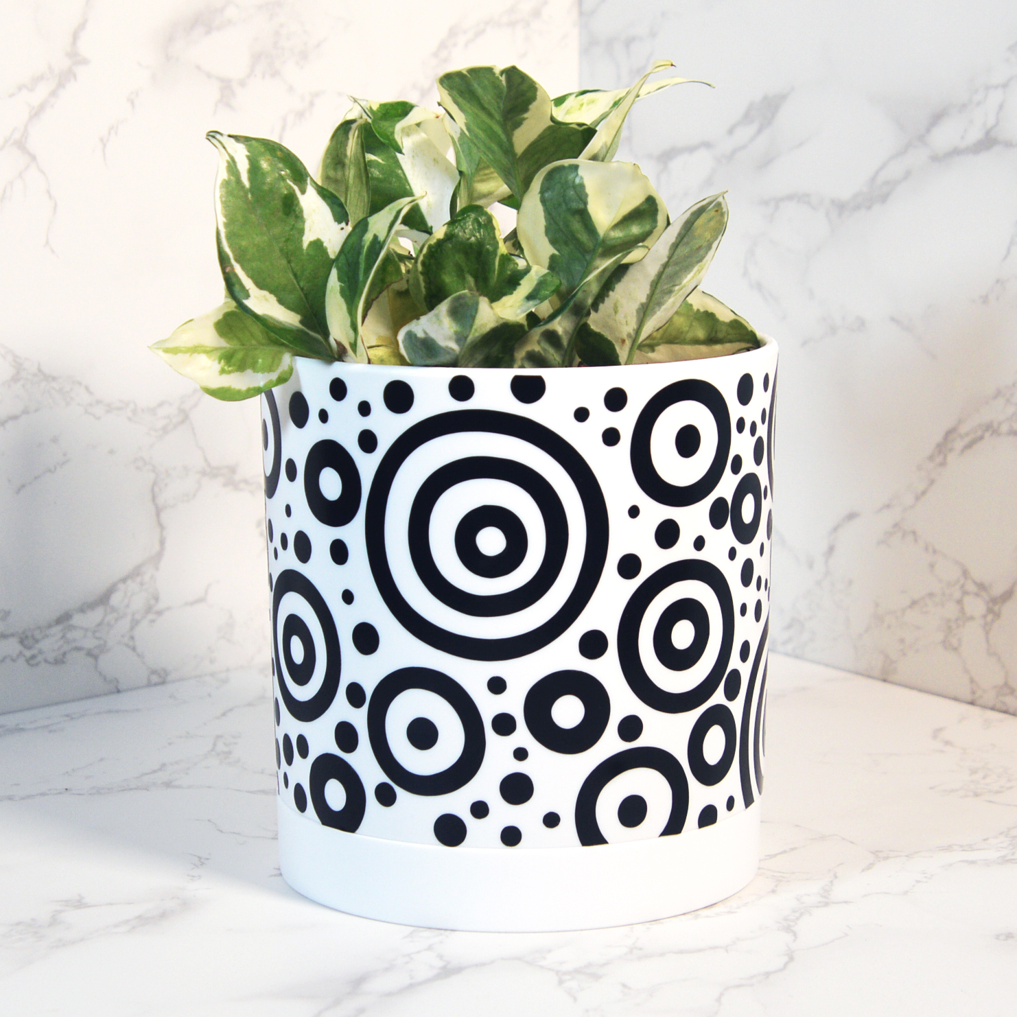 Cosmic Ripples Planter Decals