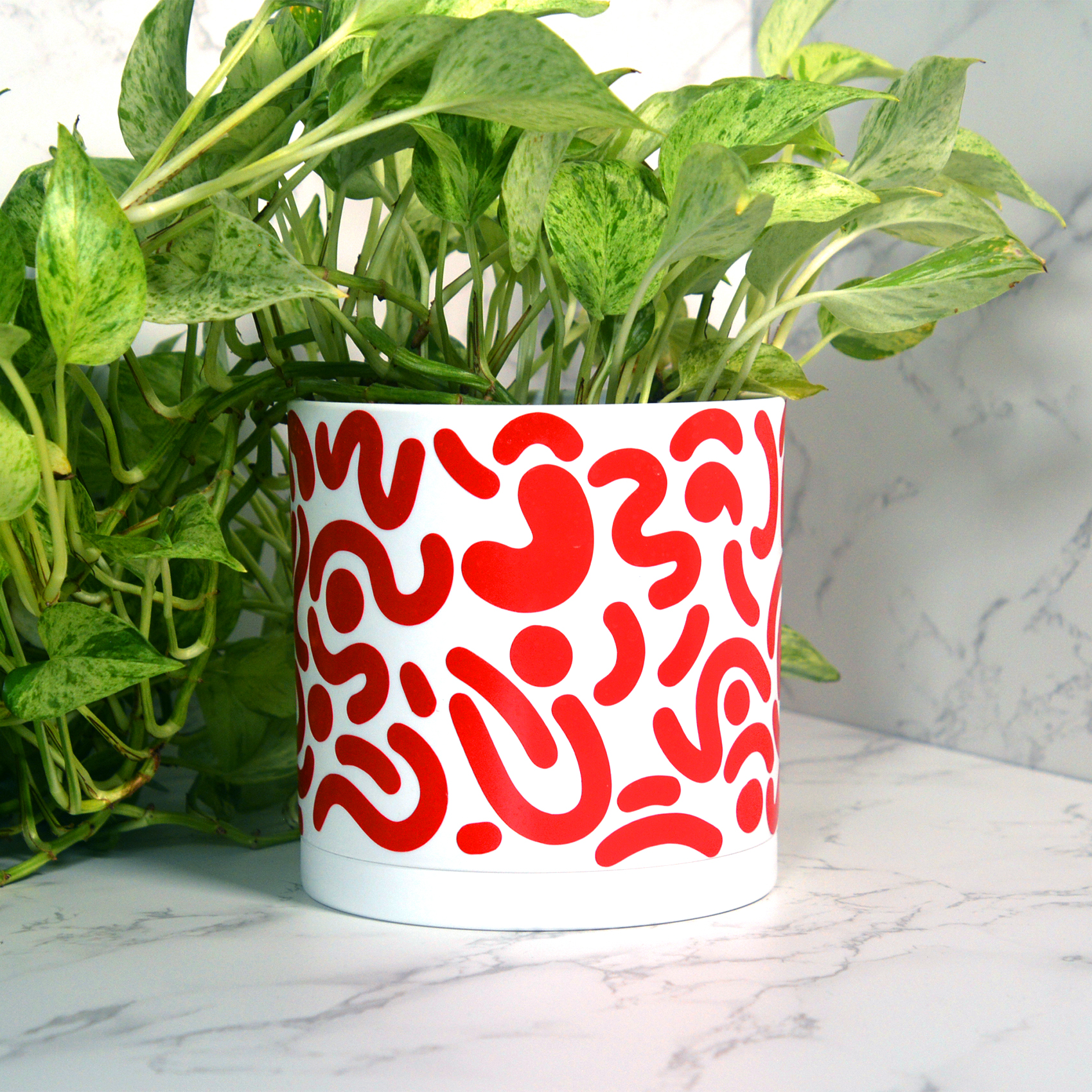Jelly Jazz Planter Decals