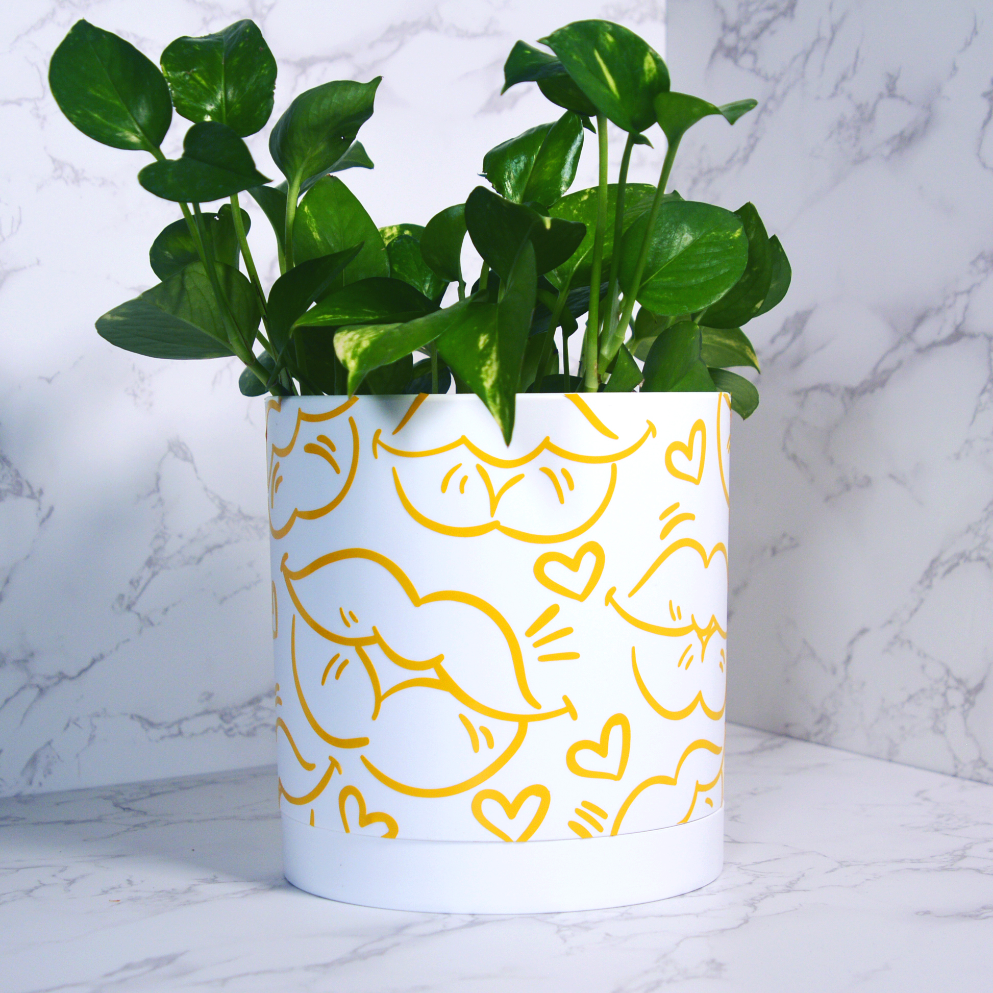 Lip Service Planter Decals