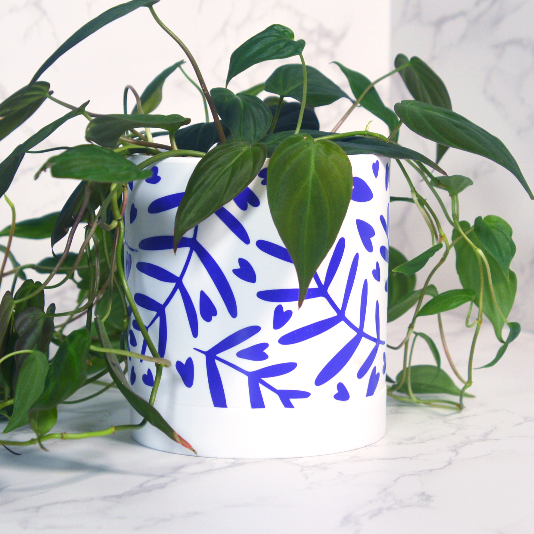 Whimsical Vines Planter Decals